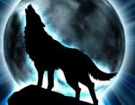 Avatar de WolfCastle