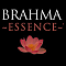 Avatar de Brahma Essence