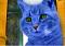 Avatar de gato azul